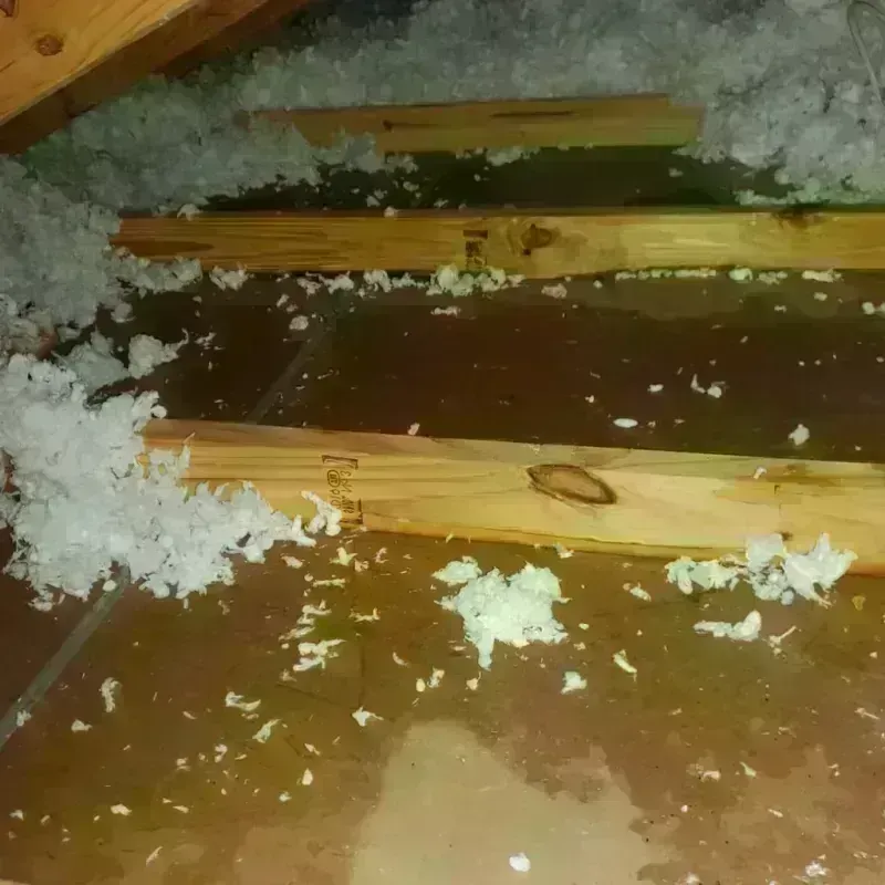 Attic Water Damage in Angel Fire, NM