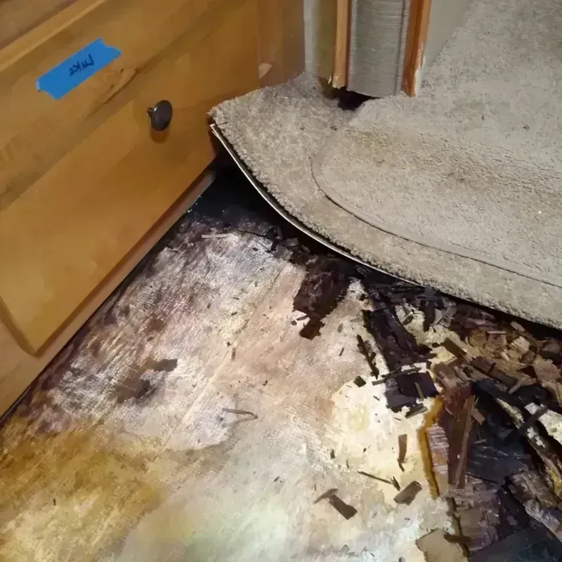 Wood Floor Water Damage in Angel Fire, NM